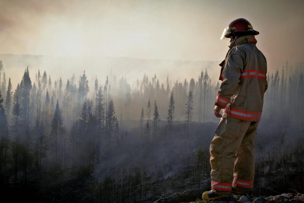 A firefighter in uniform surveys the aftermath of a forest fire with smoke rising through the trees.