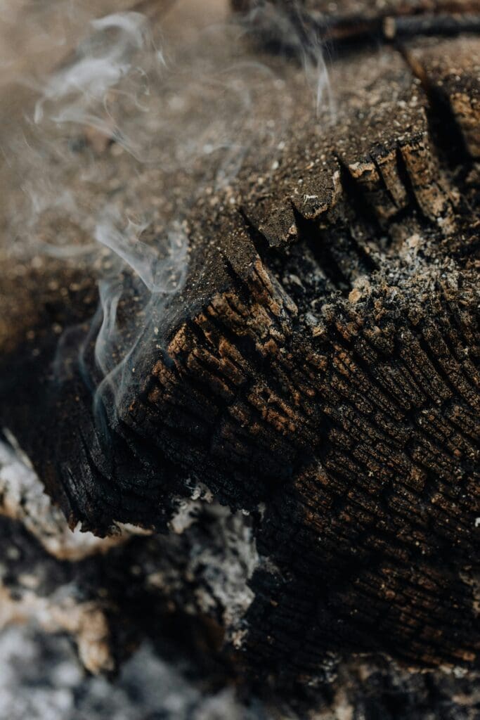 Detailed close-up of smoldering wood with smoke, showing texture and charred surface.