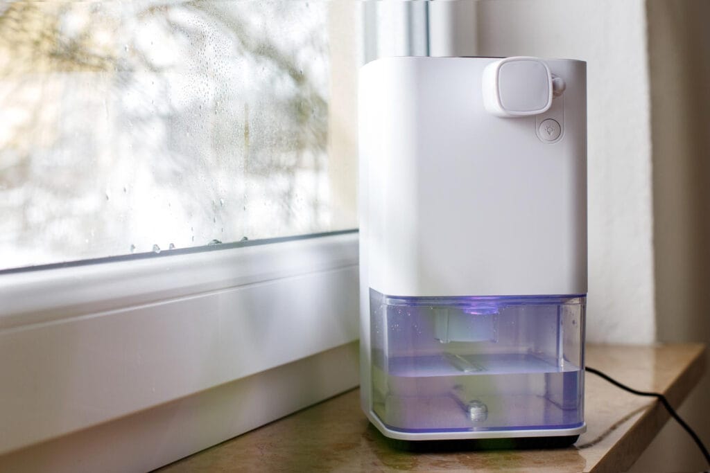 Using dehumidifiers can help maintain indoor humidity levels
